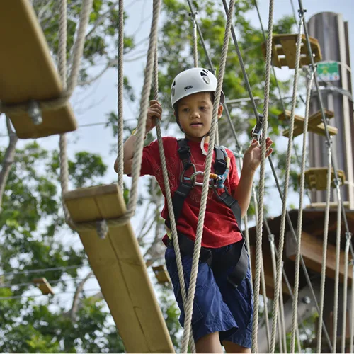 Forest Adventure Kids Course
