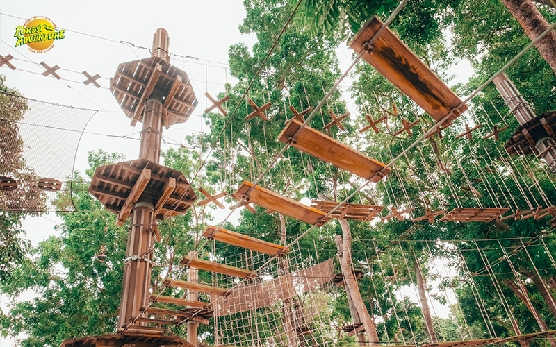 You are currently viewing Dare to Explore: Must-Try Adventure Experiences in Singapore This Year