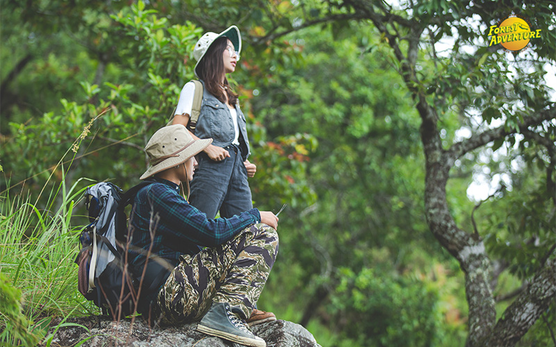 Hikers exploring nature trails, affordable outdoor activity in Singapore