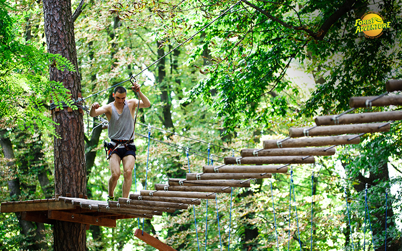 You are currently viewing Why Adventure Parks Are the Perfect Choice for Teenagers’ Activities in Singapore
